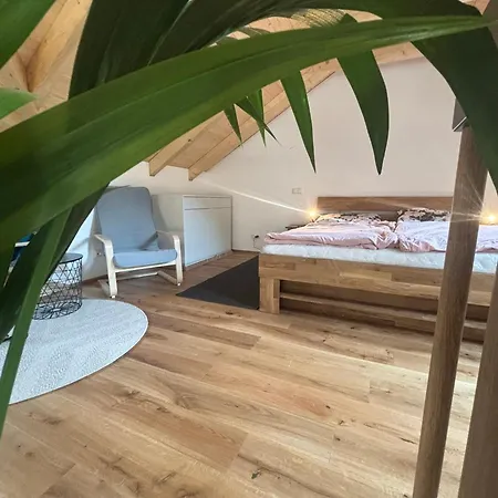 Schischo's Sankt Kathrein am Offenegg