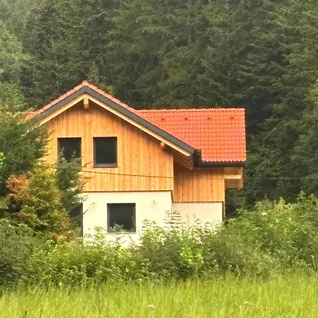 Schischo's